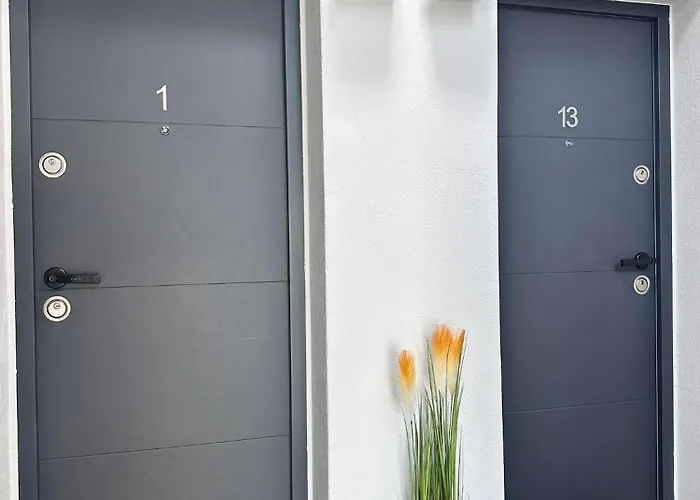 Mok 1 * טימישוארה