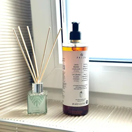 Apartment Mok 1 Timişoara